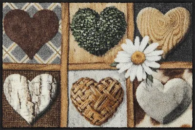 Produktbild von Salonloewe SLD3351, Dekorative Fußmatte, Drinnen/Draußen, Rechteckig, Mehrfarbig, Abbildung, Polyamid