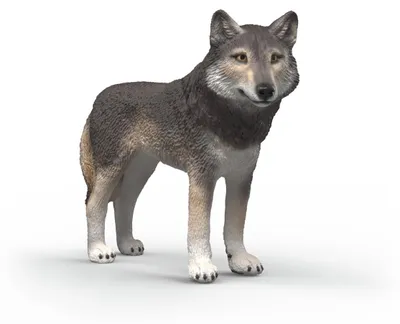 Produktbild von schleich WILD LIFE 14991, 3 Jahr(e), Mehrfarbig, Kunststoff