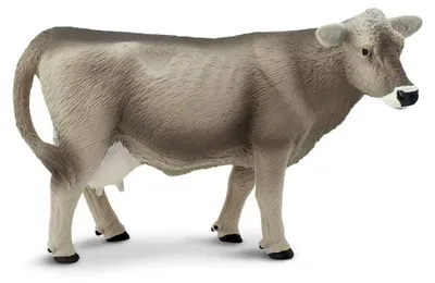Produktbild von Safari Ltd Braune Schweizer Kuhfigur Grau From 3 Years Kinder Grau From 3 Years