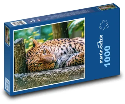 Zdjęcie produktu dla Puzzle 1000 Lampart w dżungli - martinpuzzle