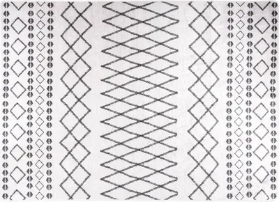 Obrázek produktu pro Koberec pratelný 120 x 180 cm černobílý