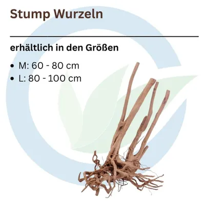 Produktbild von Stump Wurzel L 80-100 cm
