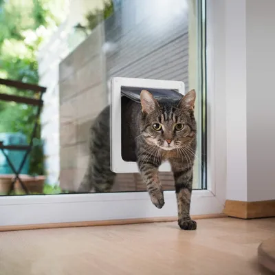 Produktbild von XL Katzenklappe mit 4-fachem Schloss - Wetterfeste Katzenklappe für Innen- und Außentüren