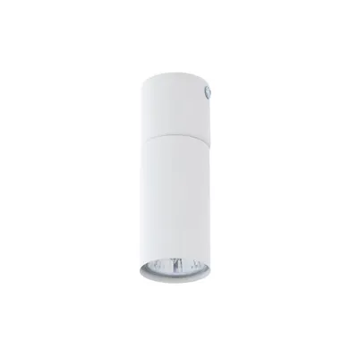 Produktbild von TK Lighting Logan Deckenstrahler 1x10W Weiß Metall