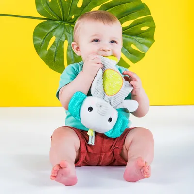 Immagine prodotto di Bright Starts coccole e dentizione peluche massaggiagengive elefante