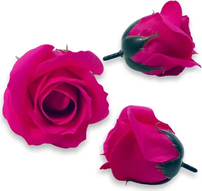 Produktbild von Dunkelrosa Seifenrose für DIY und Floristik