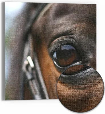 Produktbild von DEQORI Hybrid Leinwand Bild 50x50 cm 'Blick der Verbundenheit' Wandbild Glas flach modern