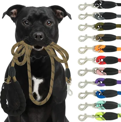 Produktbild von Reichstadt RS Pets Hundeleine Nylon 25RSP084 Brown 1,5m