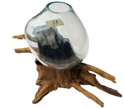Produktbild von Wurzelholz Vase - Ø Glas bis 30 cm M2, Braun, Holz,Glas,Wurzelholz, Vasen & Blumentöpfe