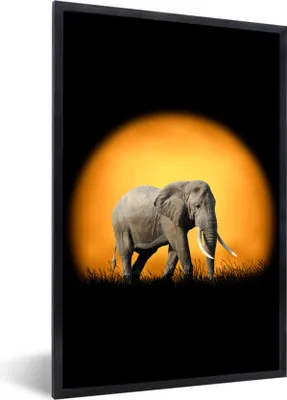 Produktbild von MuchoWow® MuchoWow® Gerahmtes Poster Elefant - Sonne - Orange 20x30 cm - Poster mit zchwarzem Bilderrahmen - Drucken - Bilder Poster im Rahmen
