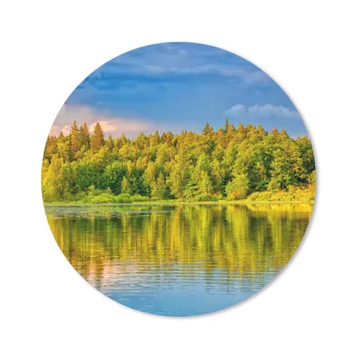 Produktbild von MuchoWow® Mauspad Mousepad Wasser - Natur - Wald 30x30 cm - Mousepads - Maus Mat - Pad - Mausunterlage - Tischunterlage - Schreibtischmatten