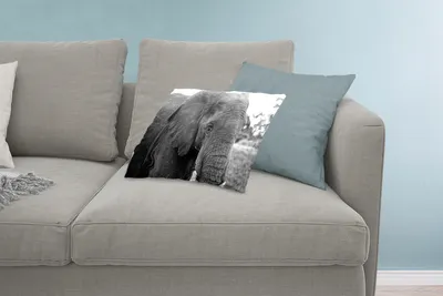 Produktbild von MuchoWow® Zierkissen Sofakissen Wohnzimmer Dekokissen 60x40 cm Elefant - Tiere - Schwarz - Weiß - Natur - Kopfkissen - Polster mit Foto