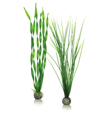 Obrázek produktu pro biOrb Easy plant set L green