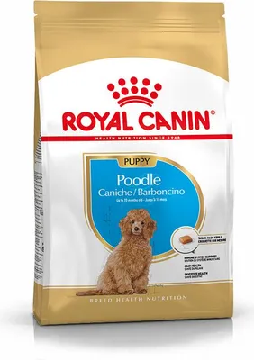 A bag of Royal Canin Poodle Puppy dog food.