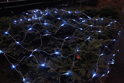 Produktbild von Best Season LED-Lichternetz, 180tlg., ca. 3 x 3 m Farbe cool white, outdoor, m.Trafo, Kabel:transpar, 499-78