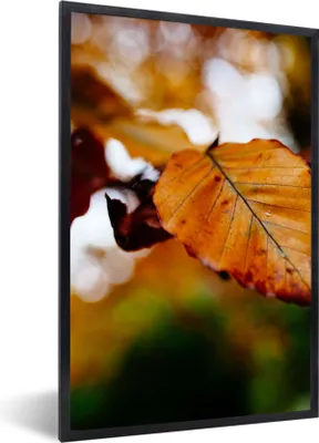 Produktbild von MuchoWow® Gerahmtes Poster Buche - Herbst - Laub 20x30 cm - Poster mit Schwarzem Bilderrahmen Wandposter Rahmen Foto Bilder - Drucken - Bilder Poster im Rahmen