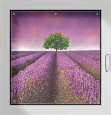 Produktbild von Wallario Lichtschutzbild, Dekorativer Sichtschutz Sonnenschutz 96 x 100 cm mit Motiv: Lila Blumenfeld - Verdunklung ohne Bohren