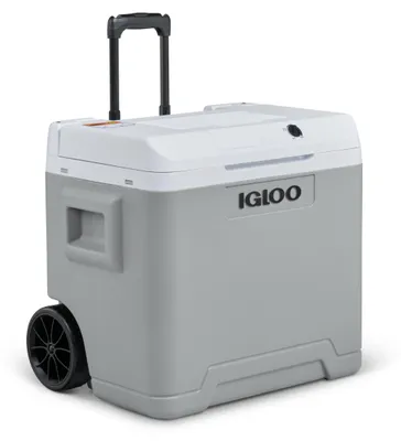 Immagine prodotto di IGLOO IE42, frigorifero portatile elettrico, 12V e 230V, 42L - mini-frigorifero compatto