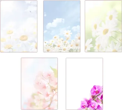 Produktbild von 5 x 10 Blatt im Set Briefpapier DIN-A4 Blumen Margeriten Kirschblüten Orchideen Motivpapier (MPA-5221)