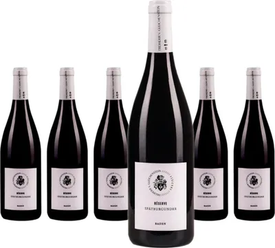 Produktbild von 6 x Weingut Freiherr von Gleichenstein Spätburgunder Réserve trocken