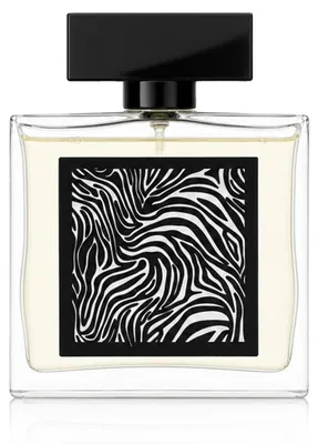 Produktbild von Fragrance World Encrypt Eau De Parfum 85 ml (man), KI-generiertes Bild