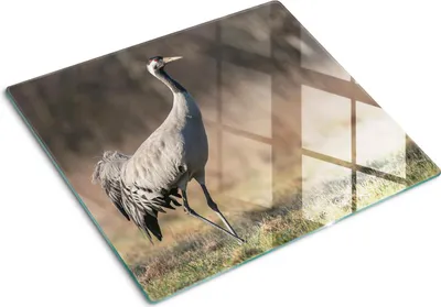 Imagen del producto de Cubierta para placa de cocina – Cubierta para placa de inducción – Placa de protección de vidrio – 60x52 cm – Placas de protección de vidrio para cocina – Vidrio templado – Volavka
