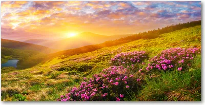 Produktbild von Tulup® Leinwandbild -100x50 cm - Wandkunst - Drucke auf Leinwand - Leinwanddruck  - Landschaften - Mehrfarbig - Sonnenuntergang Berg