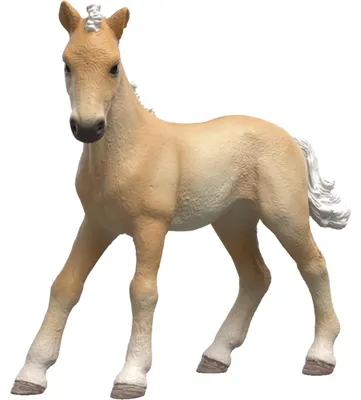 Immagine prodotto di Schleich HORSE CLUB 81482, 4 anni, Multicolore, Plastica