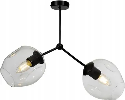 Produktbild von Light-Home Prage Deckenbeleuchtung Lampen Deckenlampen - Deckenlampe Industrial für Wohnzimmer Schlafzimmer und Esszimmer - Pendelleuchte Glas mit Metall 2-Flammig - Farblos