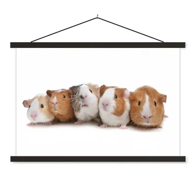Produktbild von MuchoWow® Textilposter Fünf Meerschweinchen in einer Reihe 120x80 cm mit schwarzem Rahmen - Wanddeko