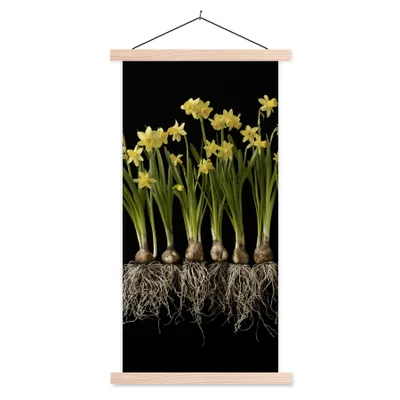 Produktbild von MuchoWow® Textilposter Mehrere Narzissen mit Zwiebeln auf schwarzem Hintergrund 40x80 cm mit holzfarbenen Rahmen - Wohnzimmer