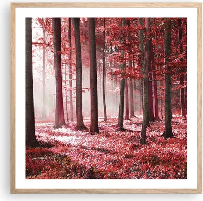 Produktbild von Gerahmtes Poster - Rahmen in heller Eiche - Wald Rot Bäume - 60x60 cm - Wand Bild - Wanddeko - Wandbilder - Kunstposter - Wandposter - Bilderrahmen - Bilder - Kunstdruck - P2NAC60x60-4944