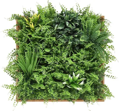 Produktbild von Pflanzenbild künstlich - 55 x 55 cm - Rahmen Holzfarben, Blätter Grün - VEGETIRI