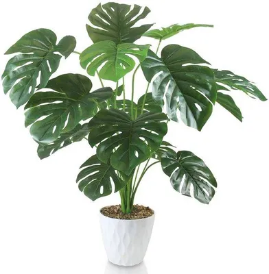 Obrázek produktu pro Umělé rostliny Monstera, výška 75 cm, 18 větví, moderní dekorace do obývacího pokoje
