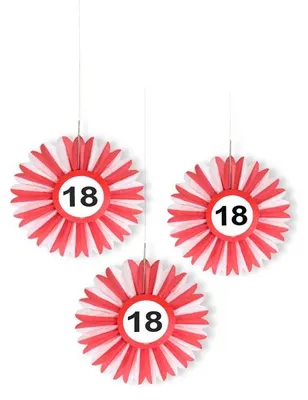 Produktbild von 3 Verkehrsschild 18 Papierrosette 25cm