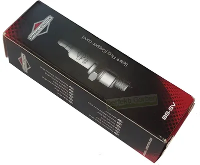 A product box for a Briggs & Stratton spark plug.