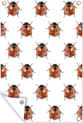 Produktbild von MuchoWow®