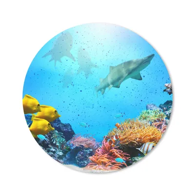 Produktbild von MuchoWow® Mauspad Mousepad Meer - Fische - Farben 40x40 cm - Mousepads - Maus Mat - Pad - Mausunterlage - Schreibtisch Accessoires