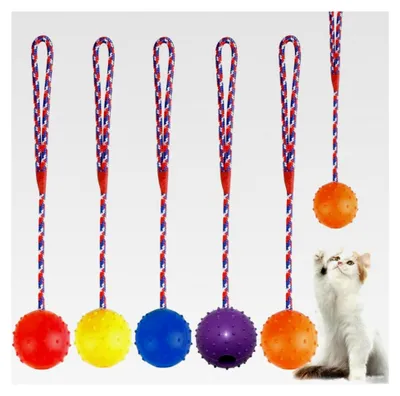 Produktbild von 5 Stück Wurfball für Hunde, ø 5 X 30 Seil Naturgummiball auf einem Seil, interaktives Hundespielzeug für große und kleine Hunde zum Apportieren und Fangen