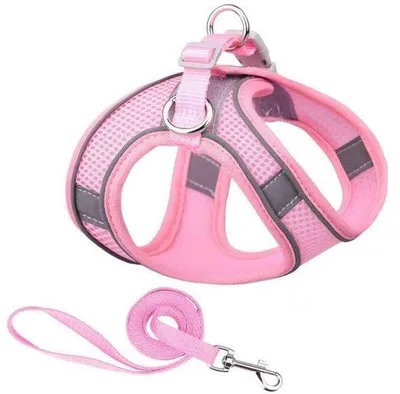 Immagine prodotto di Collare per cani di piccola taglia - Collare anti-fuga per cani di piccola e media taglia - Collare regolabile - Collare riflettente con protezione per le vie respiratorie - XXS