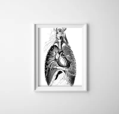 Produktbild von Poster - Canvas - Leinwand - 42 cm x 59,4 cm - Ein Teil des menschlichen Körpers