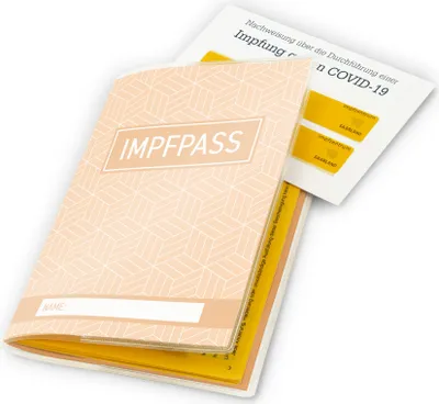 Produktbild von itenga Design Impfpasshülle Motiv Geometrie Pfirsichfarben