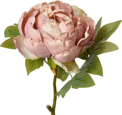 Image de Clayre & Eef Fleur artificielle Rose 48 cm Rose Plastique