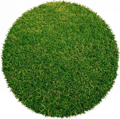 Obrázok produktu pre 240x240 (priemer) kruh Umelá tráva Botanic kruh