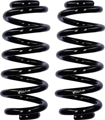 Imagen del producto de 2 amortiguadores traseros de la marca Eibach, modelo Feder