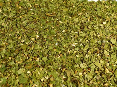 Produktbild von Weißdornblätter mit Blüten geschnitten Naturideen® 100g