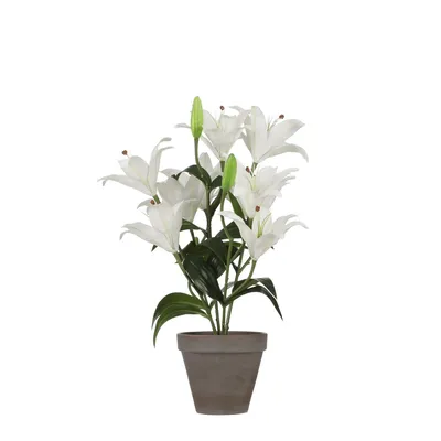 Produktbild von Mica Decorations Tigerlilien Kunstpflanze im Blumentopf Stan - H47 x Ø45 cm - Weiß