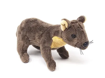 A stuffed toy animal on a white background.