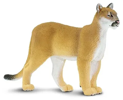 Produktbild von Safari Ltd Florida-panther-figur Gelb From 3 Years Kinder Gelb From 3 Years
