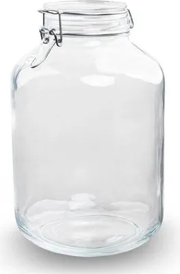 Image de Jardin en bouteille, bocal en verre Weck 5 L, Ø31cm, hauteur 28cm, terrarium en